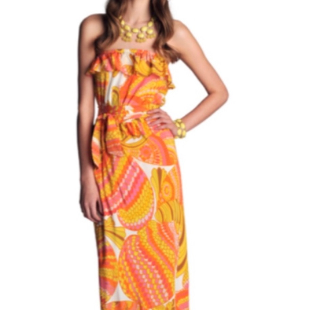 Trina Turk for Banana Republic Maxi Dress Size 10. ( fits size small or medium)